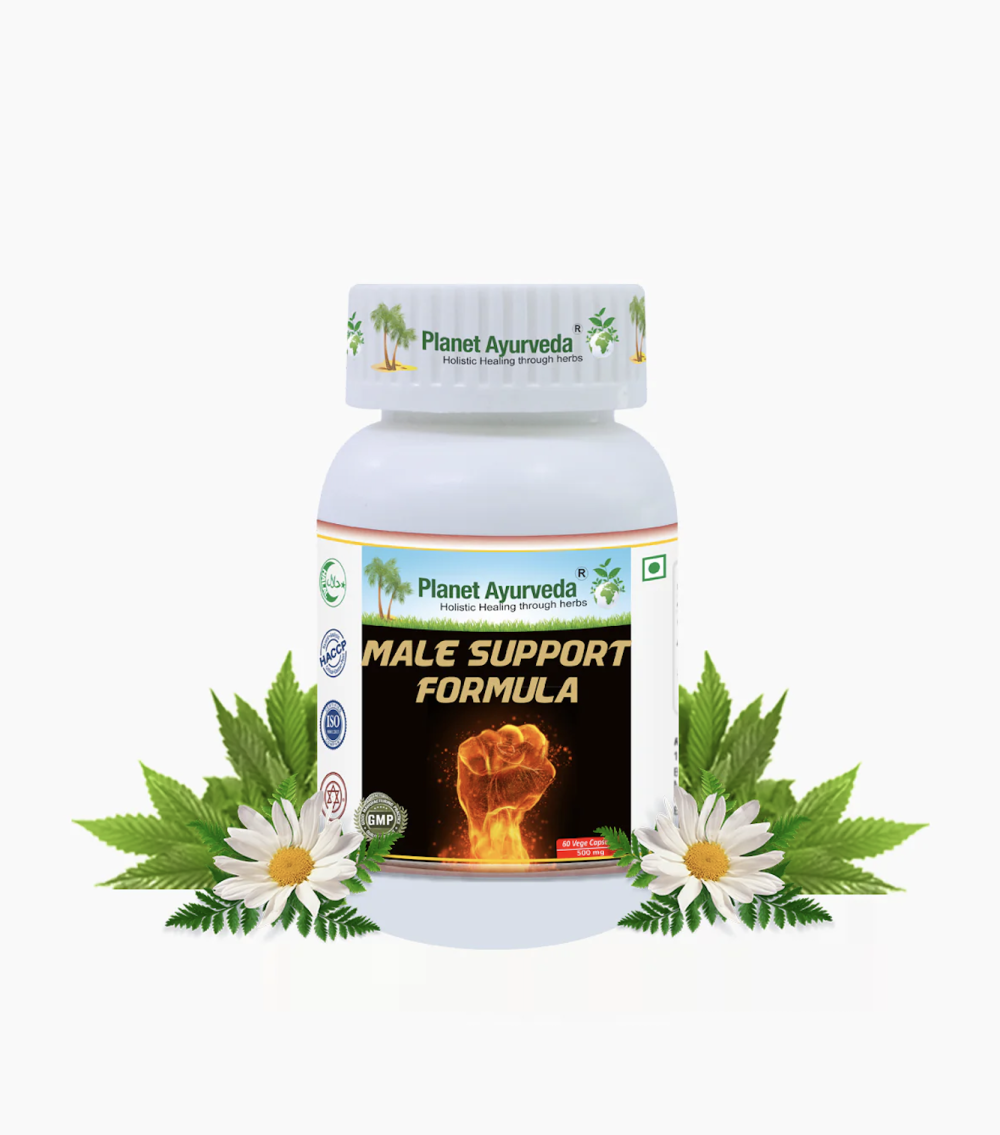 MALE SUPPORT FORMULA 남성 서포트 포물라 - 180정