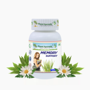 MEMORY SUPPORT 기억력 서포트 - 180정