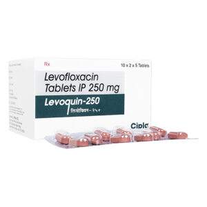 레보플렉사신정 레보플록사신정 레보퀸 - 500mg, 300정