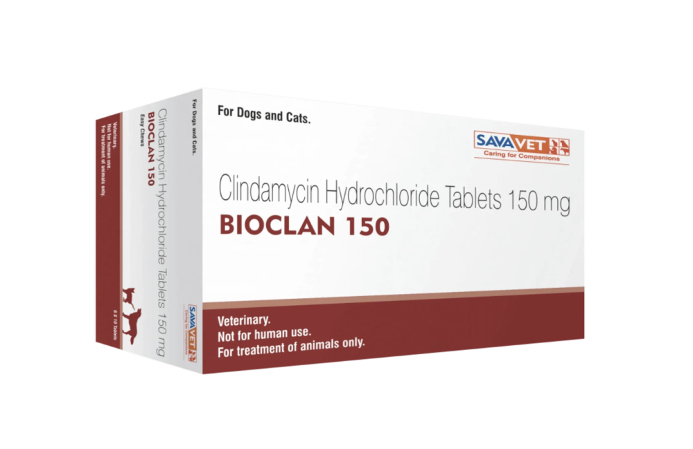클린디마이신(BIOCLAN) 완벽 가이드: 효능, 사용 방법 및 해외 직구 팁!